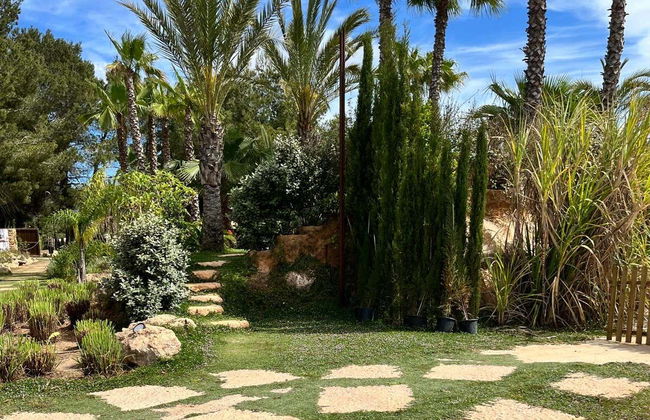 Visita guiada por el BIBO PARK Ibiza Botánico Biotecnológico - Foto 6