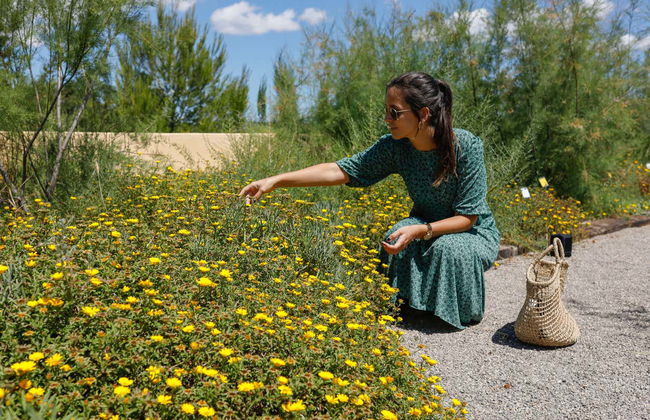 Ibiza Biotechnological Botanical Garden Tour - Photo 6