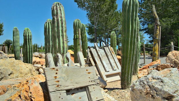 Visita guiada por el BIBO PARK Ibiza Botánico Biotecnológico - Foto 2