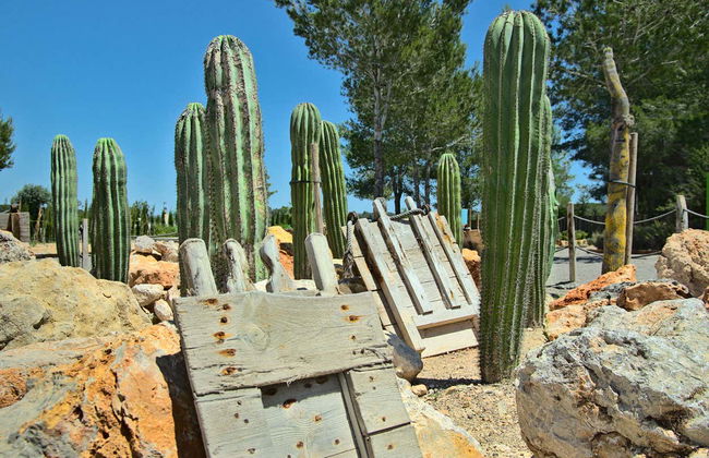 Visita guiada por el BIBO PARK Ibiza Botánico Biotecnológico - Foto 2