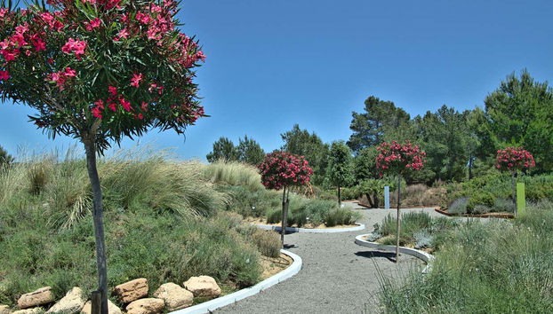 Visita guiada por el BIBO PARK Ibiza Botánico Biotecnológico - Foto 5