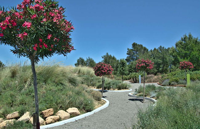 Visita guiada por el BIBO PARK Ibiza Botánico Biotecnológico - Foto 5