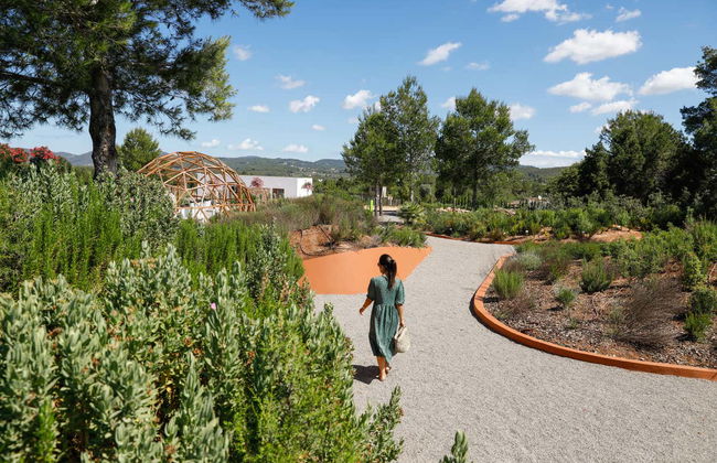 Visita guiada por el BIBO PARK Ibiza Botánico Biotecnológico - Foto 1