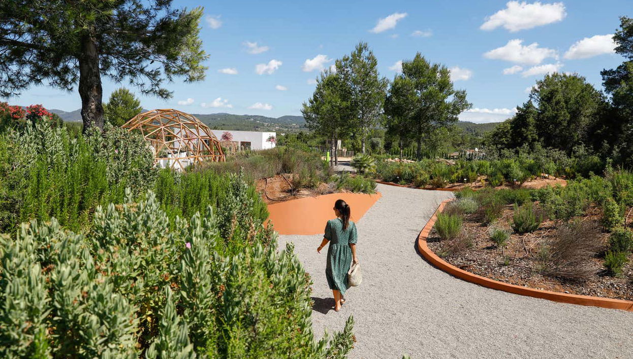Visita guiada por el BIBO PARK Ibiza Botánico Biotecnológico - Foto 1