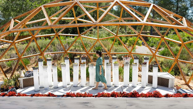 Visita guiada por el BIBO PARK Ibiza Botánico Biotecnológico - Foto 3
