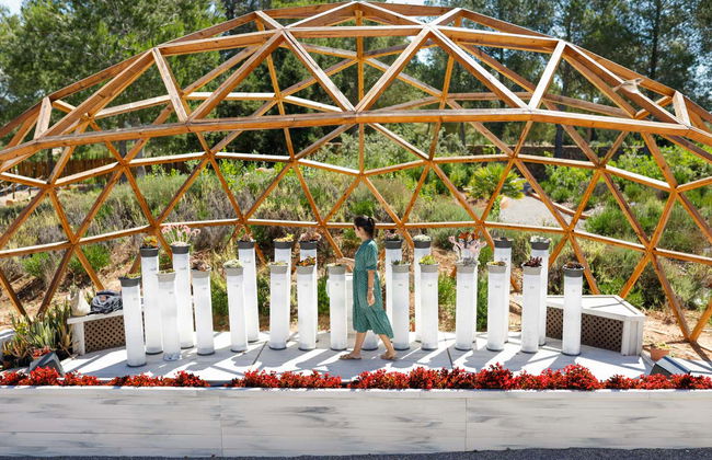 Visita guiada por el BIBO PARK Ibiza Botánico Biotecnológico - Foto 3
