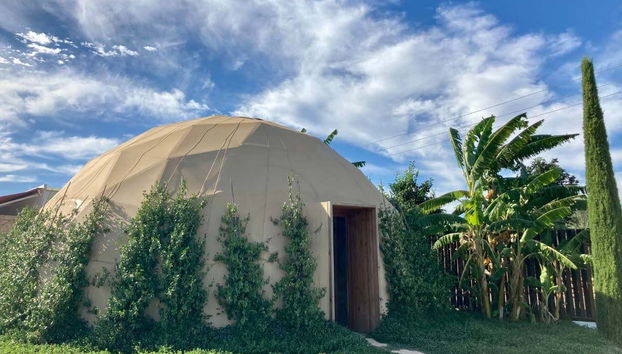 Visita guiada por el BIBO PARK Ibiza Botánico Biotecnológico - Foto 4