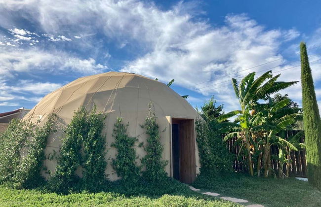 Visita guiada por el BIBO PARK Ibiza Botánico Biotecnológico - Foto 4