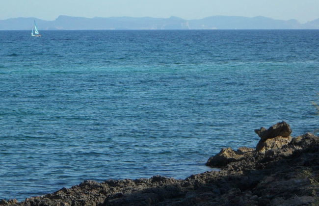 Excursión a Cabrera y la Cueva Azul en barco - Foto 3