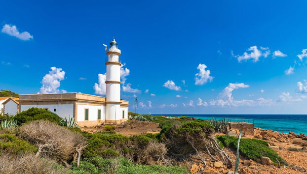 Cruise to Es Trenc & Es Caragol - Photo 2