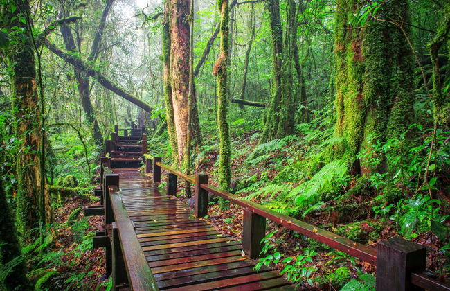 Escursione a Doi Inthanon - Foto 2