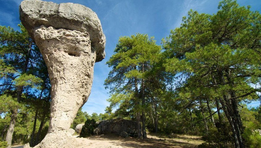 Excursión a la Ciudad Encantada - Foto 1