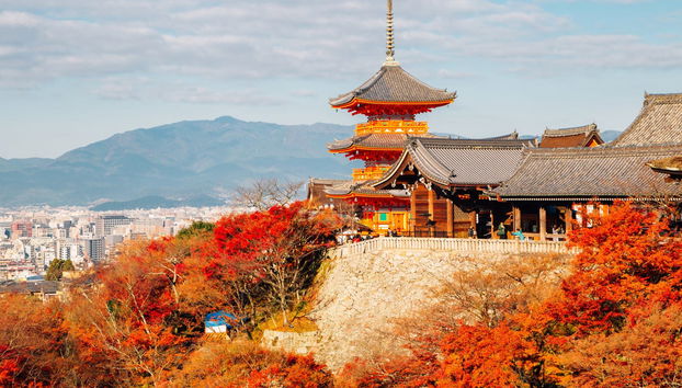 Tour privado a pé por Kyoto - Foto 5