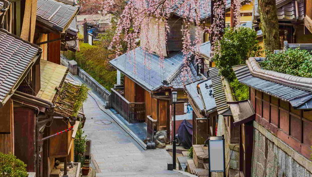Visite privée dans Kyoto - Photo 5