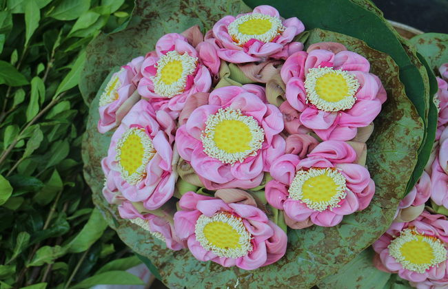 Tour privado por el Mercado de las Flores - Foto 4