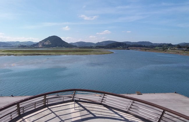 Excursión a una fábrica de anchoas de Santoña + Paseo en barco - Foto 2