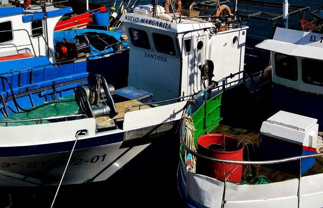 Excursion dans une usine d'anchois + Balade en bateau - Photo 5