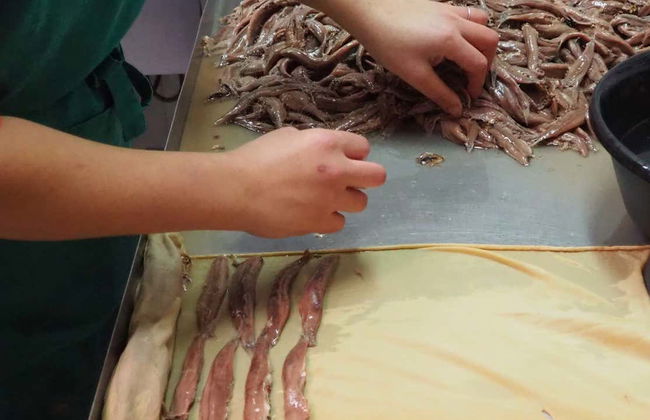 Excursion dans une usine d'anchois + Balade en bateau - Photo 2