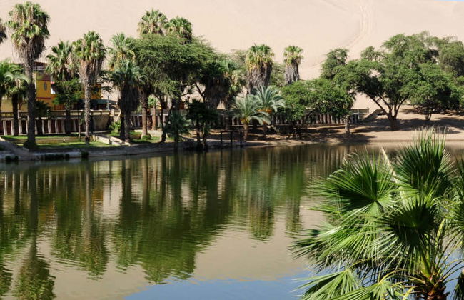 Excursión a Ica y Huacachina + Islas Ballestas - Foto 4