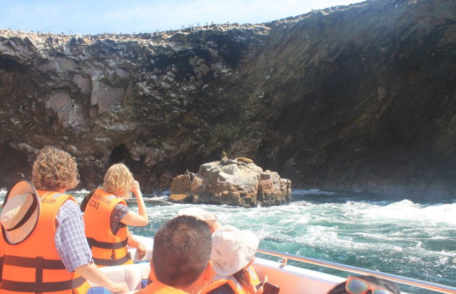 Excursión a Ica y Huacachina + Islas Ballestas - Foto 2