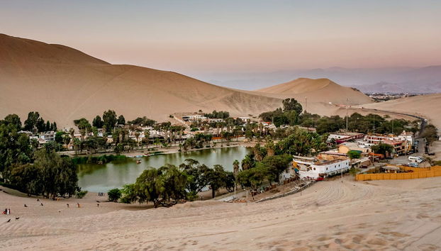 Excursion à Ica et Huacachina + îles Ballestas - Photo 4