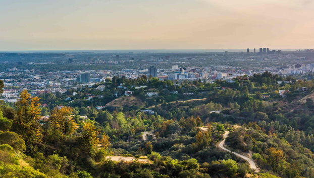 Randonnée au Parc Griffith - Photo 2