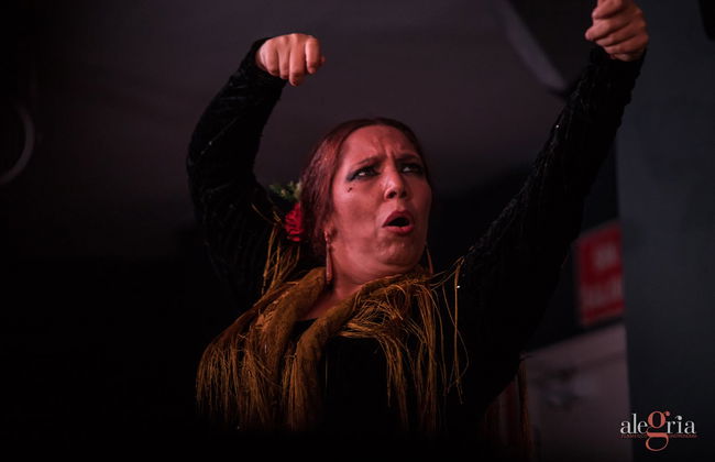 Espetáculo de flamenco no Alegría - Foto 12