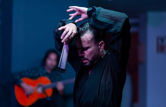 Espectáculo flamenco en el tablao Alegría - Foto 6