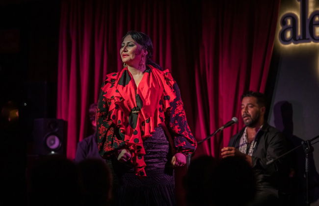 Espectáculo flamenco en el tablao Alegría - Foto 21