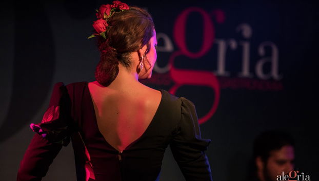 Espectáculo flamenco en el tablao Alegría - Foto 2