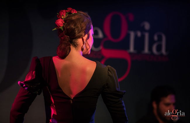 Espectáculo flamenco en el tablao Alegría - Foto 2