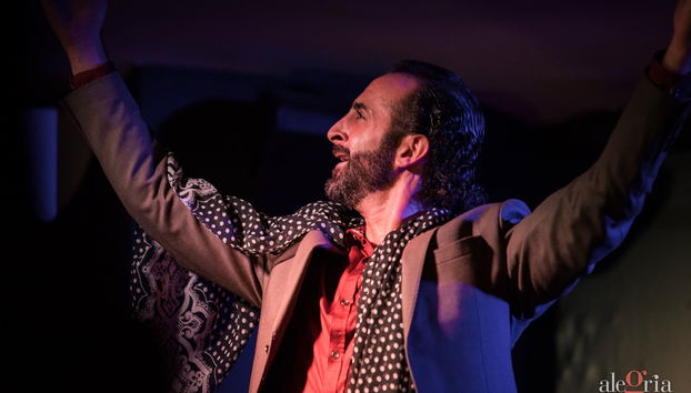Espectáculo flamenco en el tablao Alegría - Foto 3