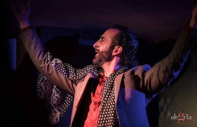 Espectáculo flamenco en el tablao Alegría - Foto 3