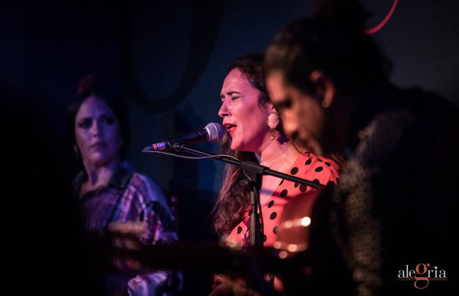 Espectáculo flamenco en el tablao Alegría - Foto 14