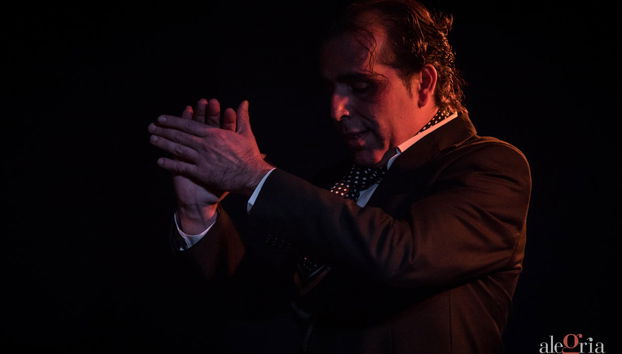 Espectáculo flamenco en el tablao Alegría - Foto 4