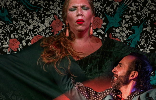 Espectáculo flamenco en el tablao Alegría - Foto 23