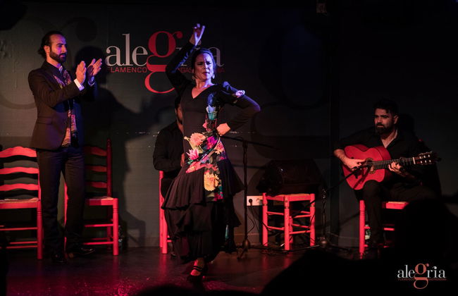 Espetáculo de flamenco no Alegría - Foto 13