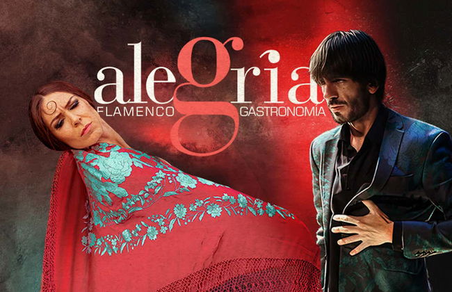 Espectáculo flamenco en el tablao Alegría - Foto 22