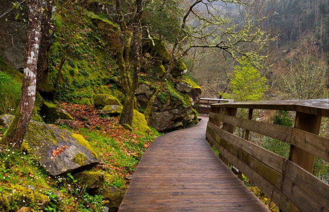 Excursion aux Passadiços do Paiva + Ponte 516 Arouca - Photo 2