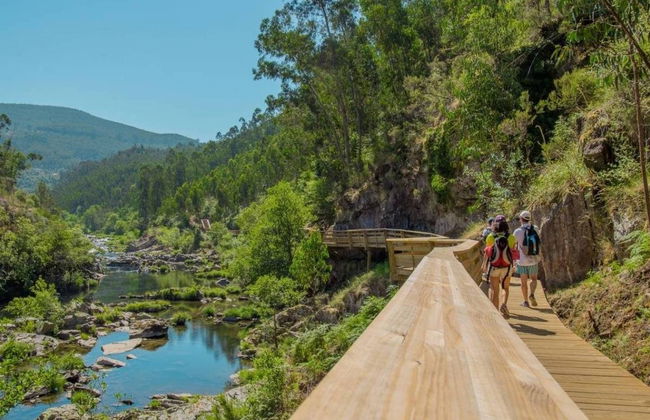 Paiva Walkways + 516 Arouca Bridge Tour - Photo 2