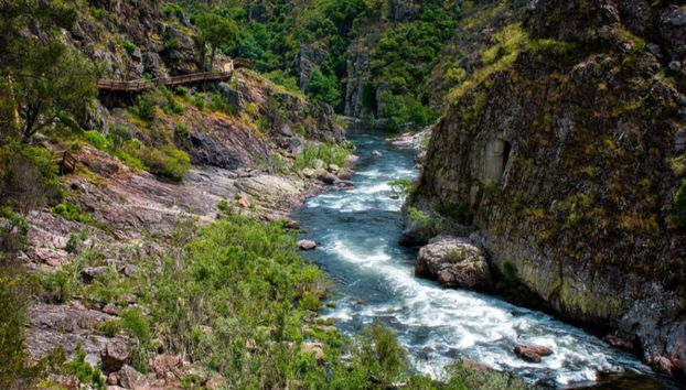 Paiva Walkways + 516 Arouca Bridge Tour - Foto 3