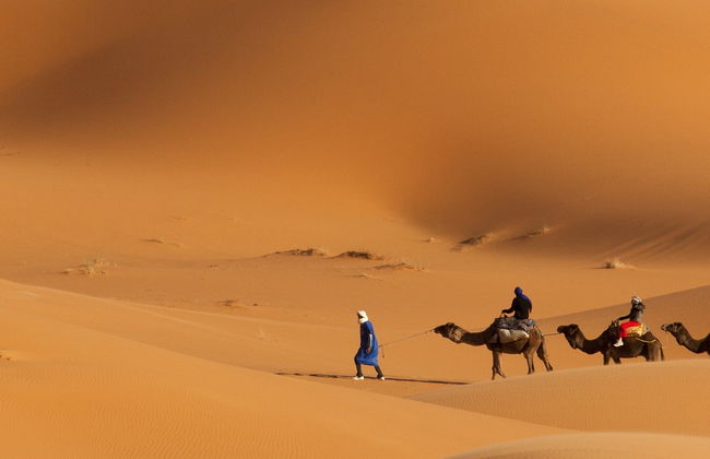 Giro in cammello nel deserto + cena con spettacolo - Foto 3