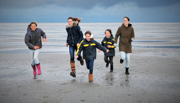 Crociera nel Mare dei Wadden e avvistamento di foche - Foto 2