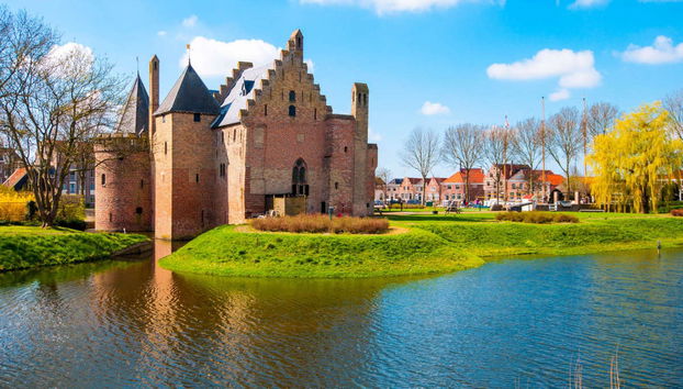 Crociera nel Mare dei Wadden e avvistamento di foche - Foto 5