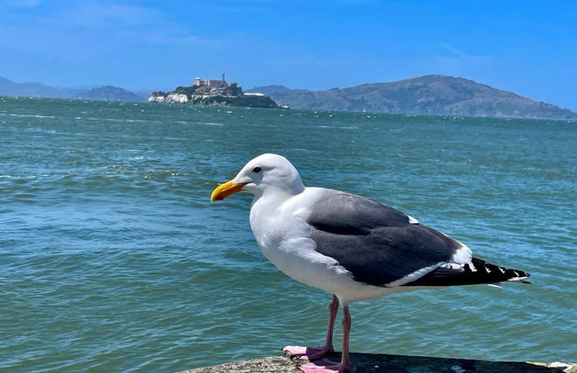 Tour privado por San Francisco - Foto 3