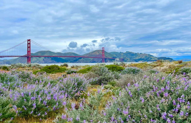 Tour privado por San Francisco - Foto 1