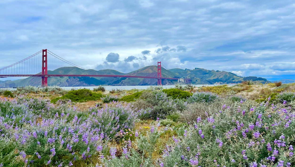 San Francisco Private Tour - Foto 1