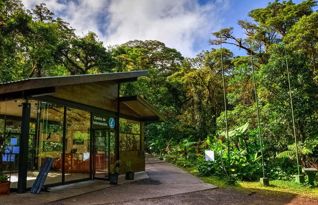 Trilha pelo Bosque Nuboso de Monteverde - Foto 6