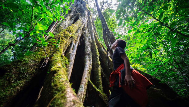 Hiking in Monteverde Cloud Forest Reserve - Foto 2