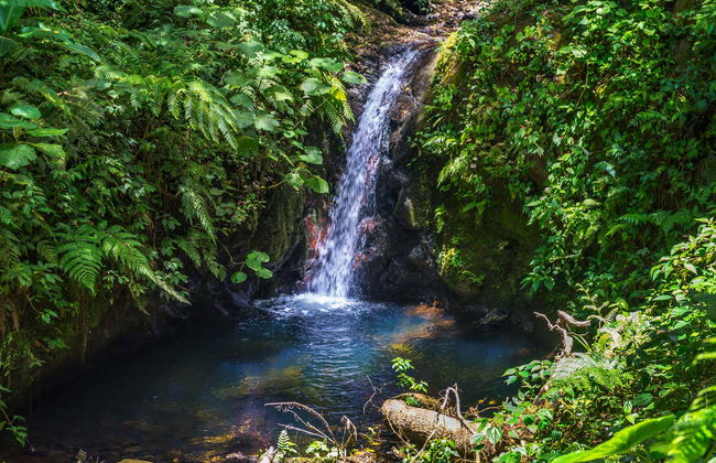 Trilha pelo Bosque Nuboso de Monteverde - Foto 1